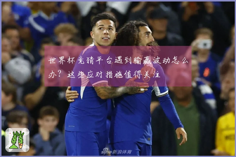世界杯竞猜平台遇到输赢波动怎么办？这些应对措施值得关注