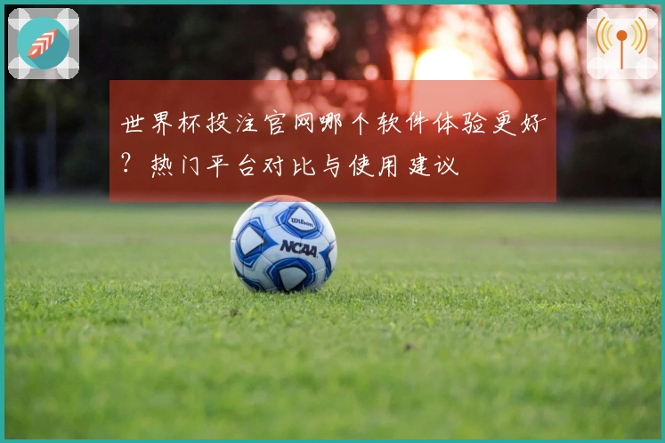 世界杯投注官网哪个软件体验更好？热门平台对比与使用建议