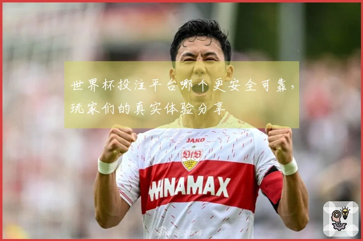 世界杯投注平台哪个更安全可靠，玩家们的真实体验分享