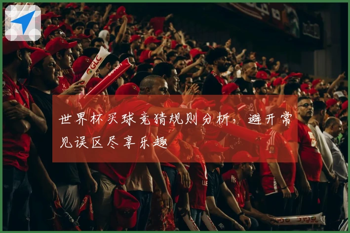 世界杯买球竞猜规则分析，避开常见误区尽享乐趣