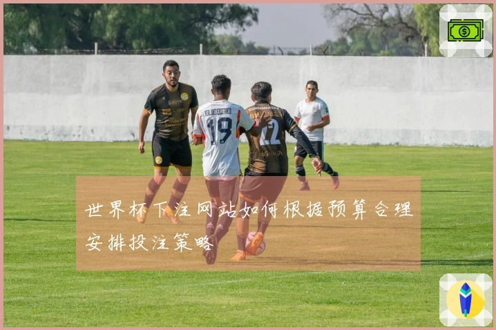 世界杯下注网站如何根据预算合理安排投注策略