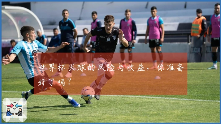 世界杯买球的风险与收益，你准备好了吗？