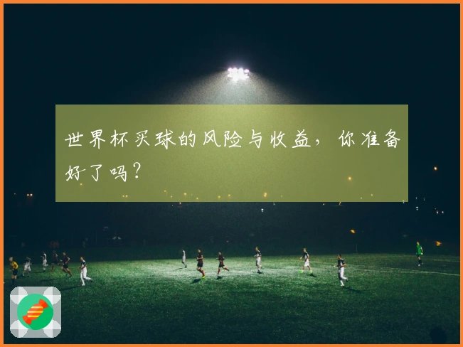 世界杯买球的风险与收益，你准备好了吗？
