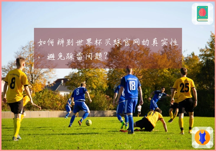 如何辨别世界杯买球官网的真实性，避免踩雷问题？