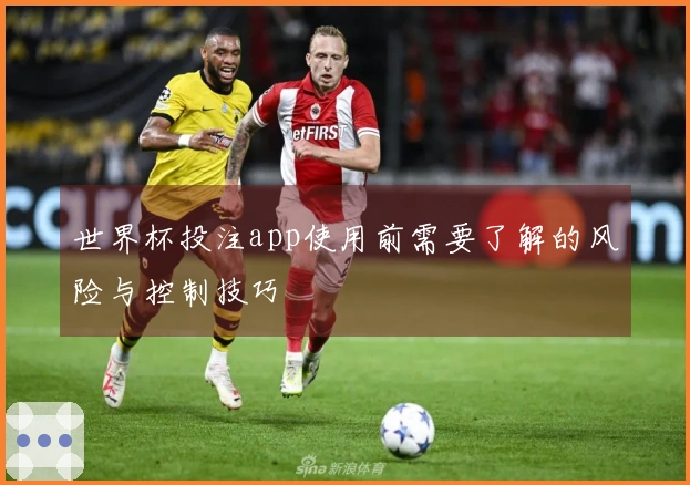 世界杯投注app使用前需要了解的风险与控制技巧