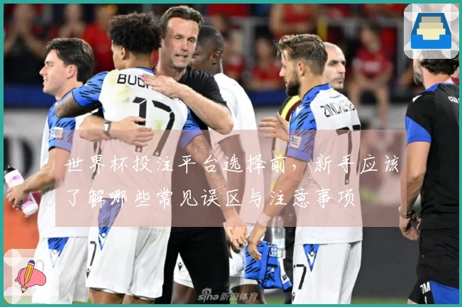 世界杯投注平台选择前，新手应该了解哪些常见误区与注意事项