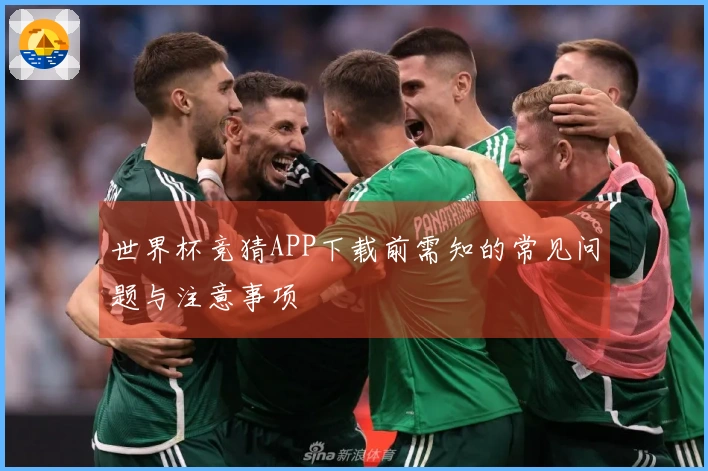 世界杯竞猜APP下载前需知的常见问题与注意事项