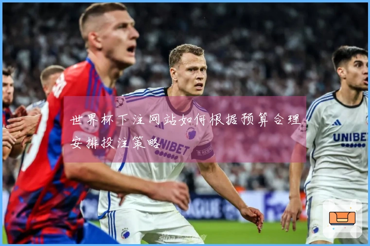 世界杯下注网站如何根据预算合理安排投注策略